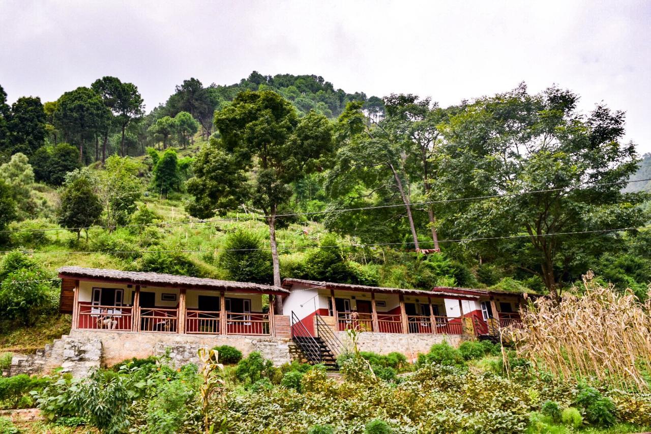 Solid Rock - Lodge & Restaurant Pharping Extérieur photo